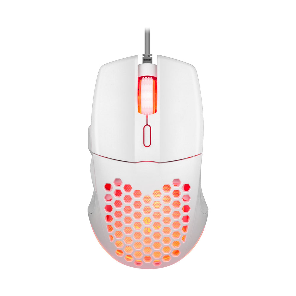 INPLAY M066 HOLLOW MOUSE