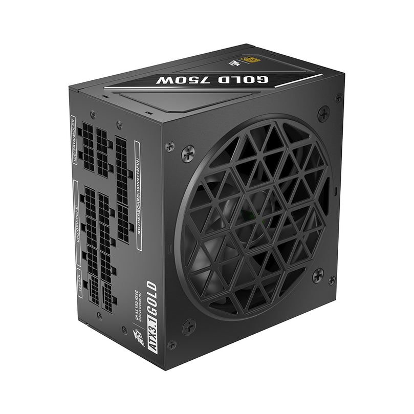 1ST PLAYER NGDP 750W 80+ GOLD ATX3.1/PCIE-5.1/FULL-MODULAR GAMING PSU