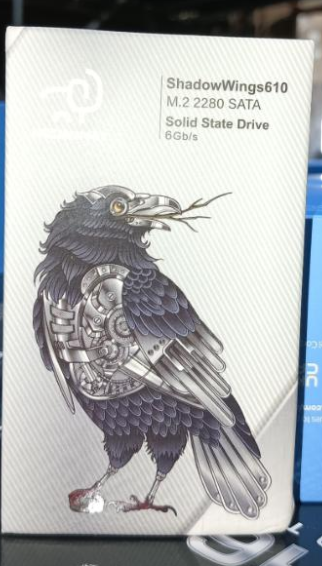 HKC SHADOWWINGS DS610 512GB M.2 2280 6Gb/s SATA SSD