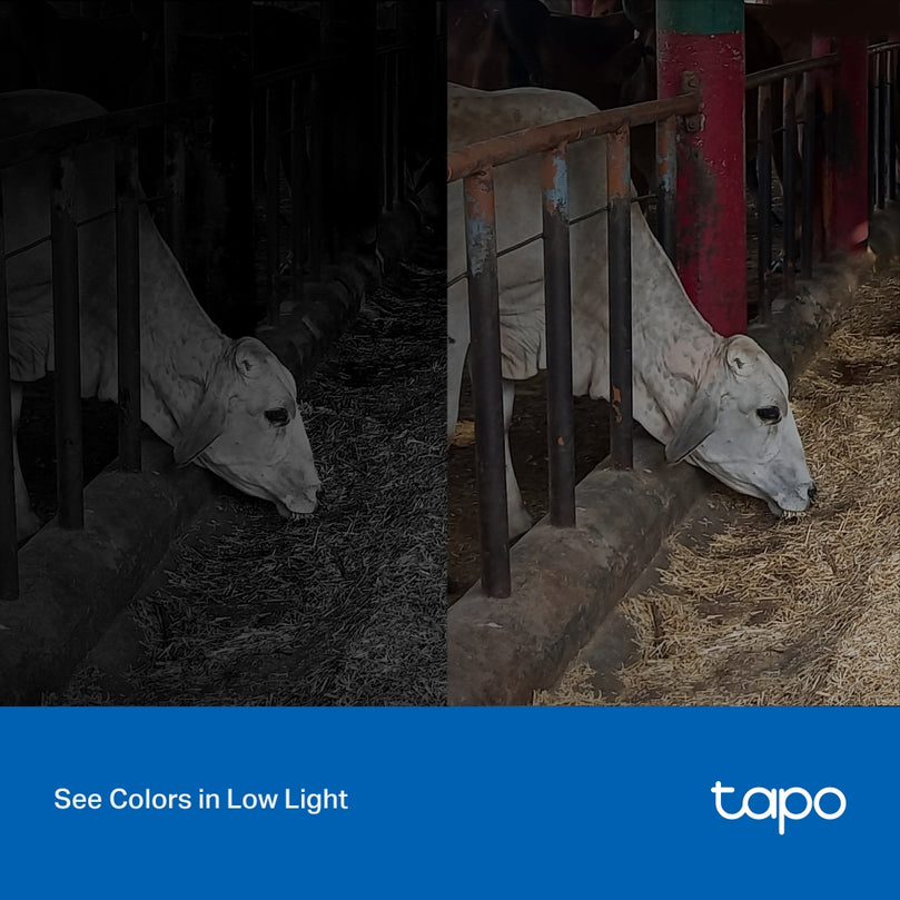 TP-LINK TAPO C320WS / OUT DOOR SECURITY WIFI CAMERA