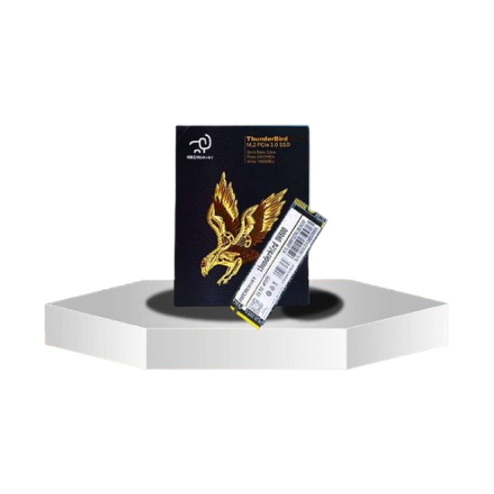 HKC THUNDER 256GB DV600 M.2 NVME 3.0 SSD