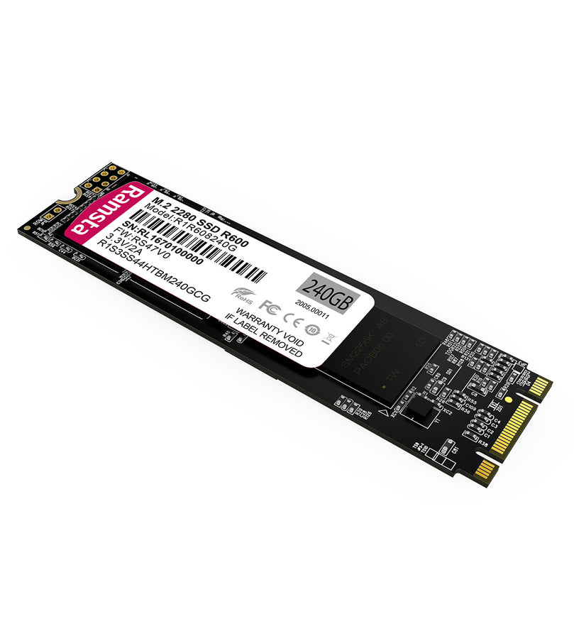 RAMSTA R600 M.2 2280 SATA 256GB SSD