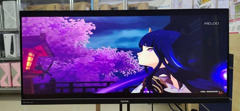 SANC M2942H 29 INCH IPS / WFHD 75HZ / HDMI*2 + VGA + AUDIO MONITOR