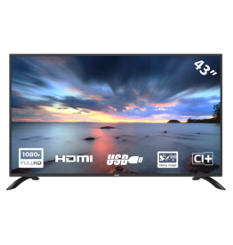 HKC H800 S42KGI 42 INCH SMART TV